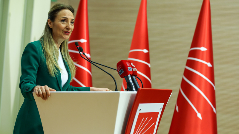 Aylin Nazlıaka, Aile ve Sosyal Hizmetler Bakanlığının Faaliyetlerini Değerlendirdi: “AKP İktidarı, İstatistiksel Oyunlarla Bir Başarı Hikayesi Yaratmaya Çalışıyor”